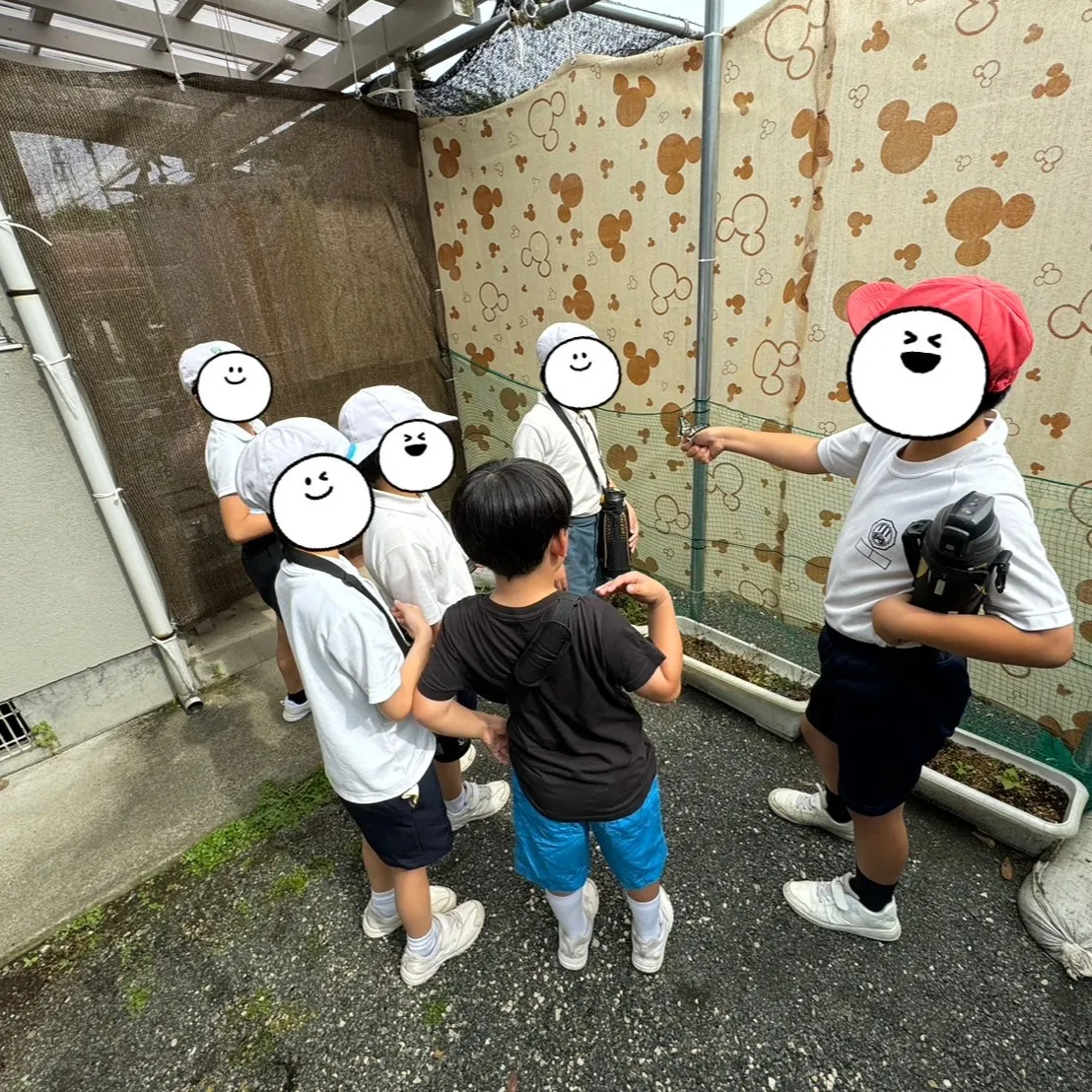 今日は庭で素敵な発見🌿✨ アゲハチョウを見つけました🦋✨とて...