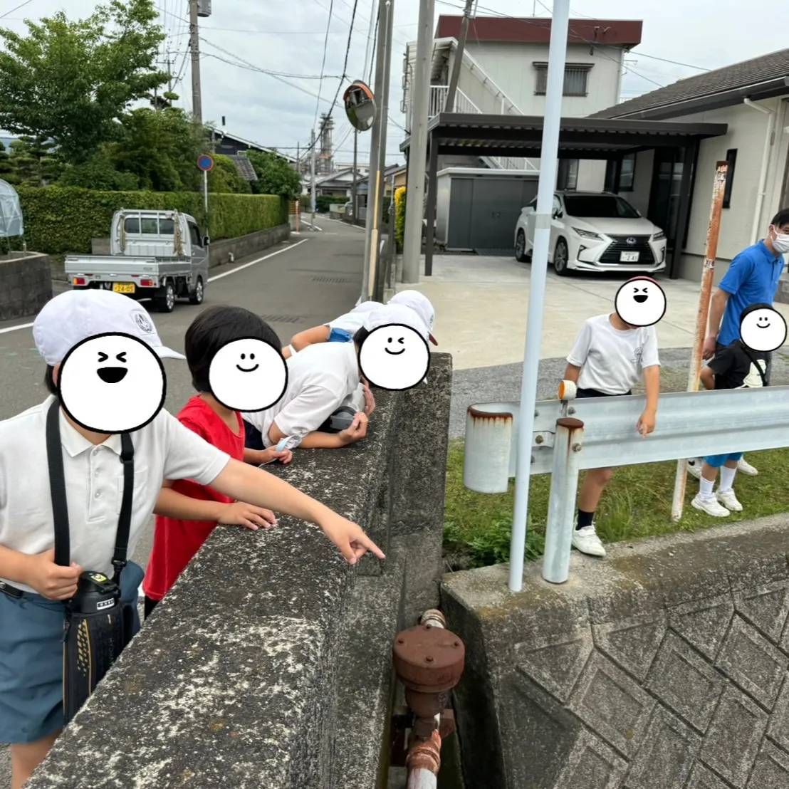 今日は庭で素敵な発見🌿✨ アゲハチョウを見つけました🦋✨とて...