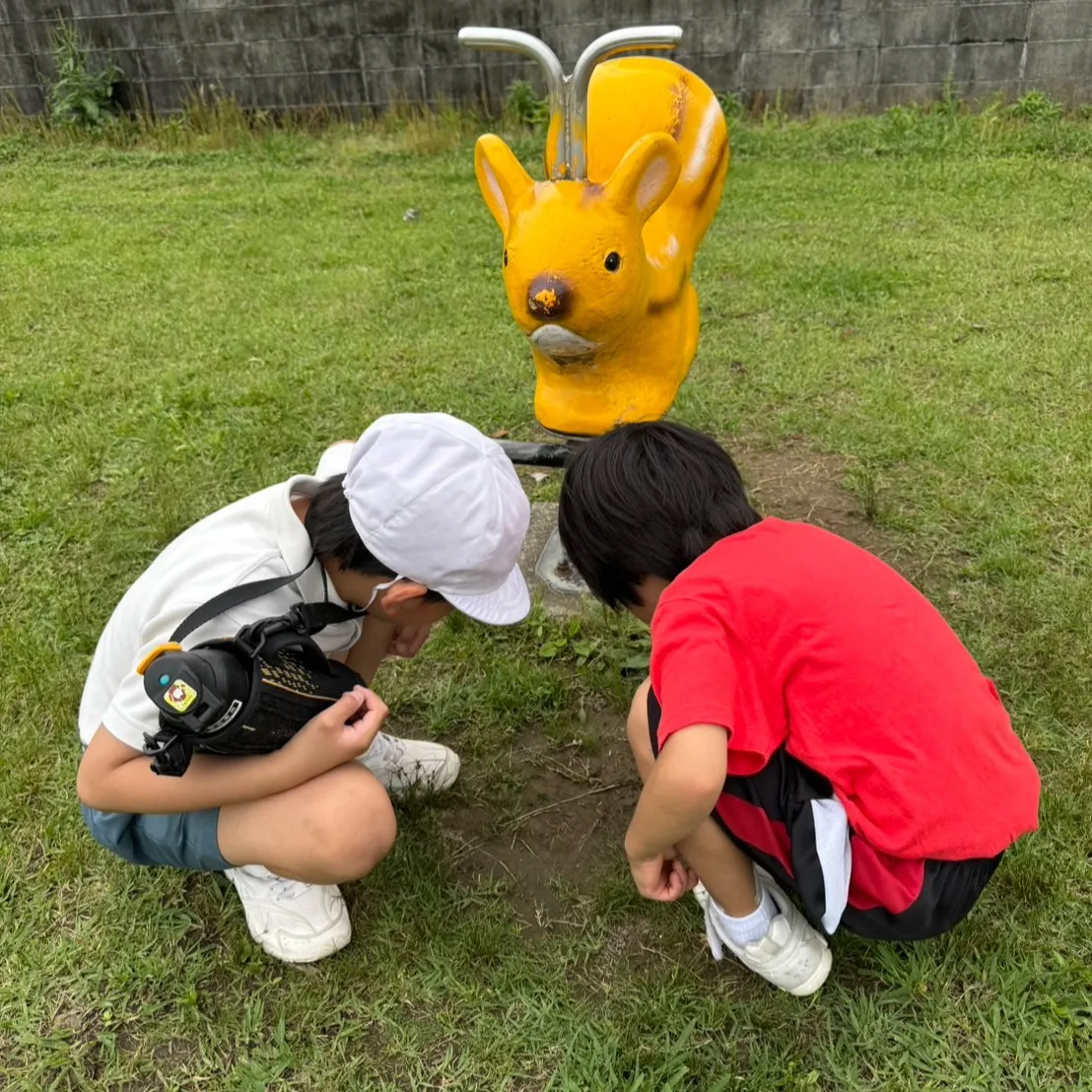 今日は庭で素敵な発見🌿✨ アゲハチョウを見つけました🦋✨とて...
