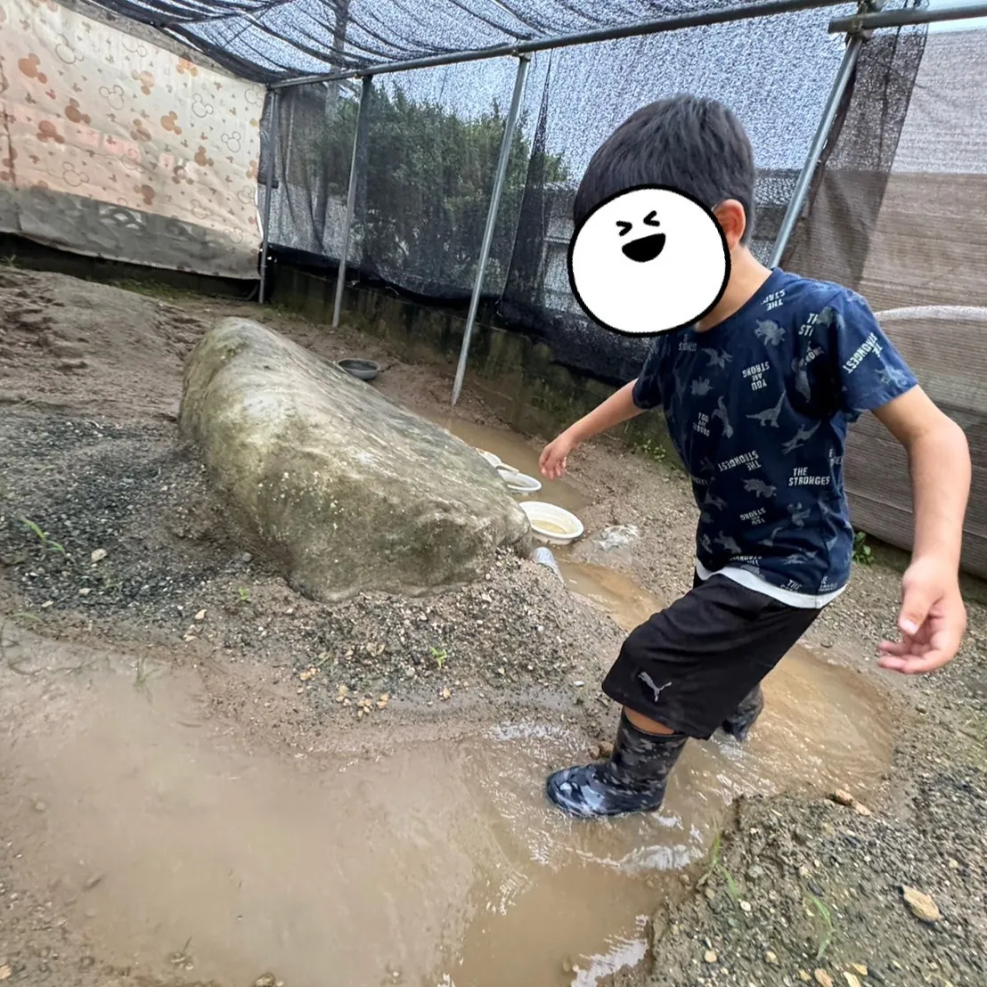 今日は食後のデザートのフルーチェ作りのお手伝いをしました🍓み...