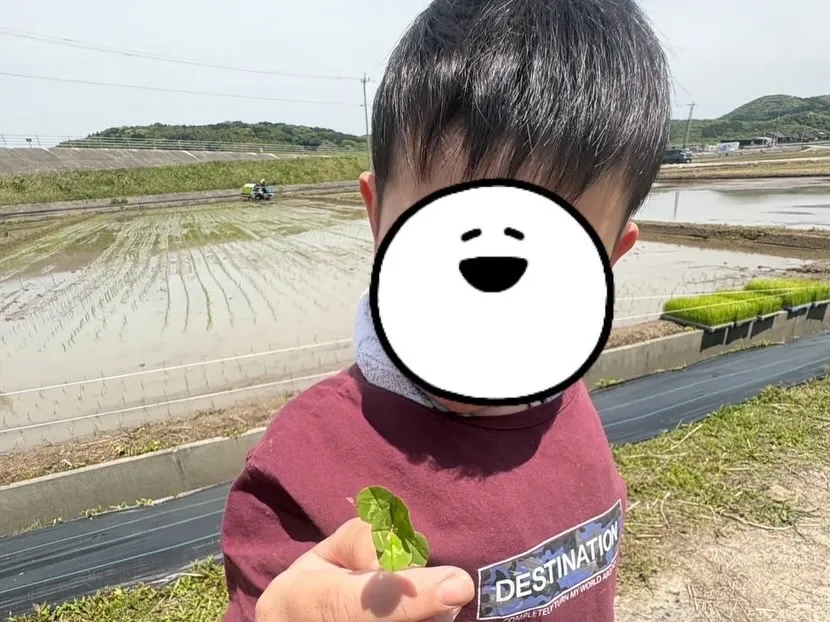 今日はすばらしい体験をしてきました！「キッズサポートつみきの...