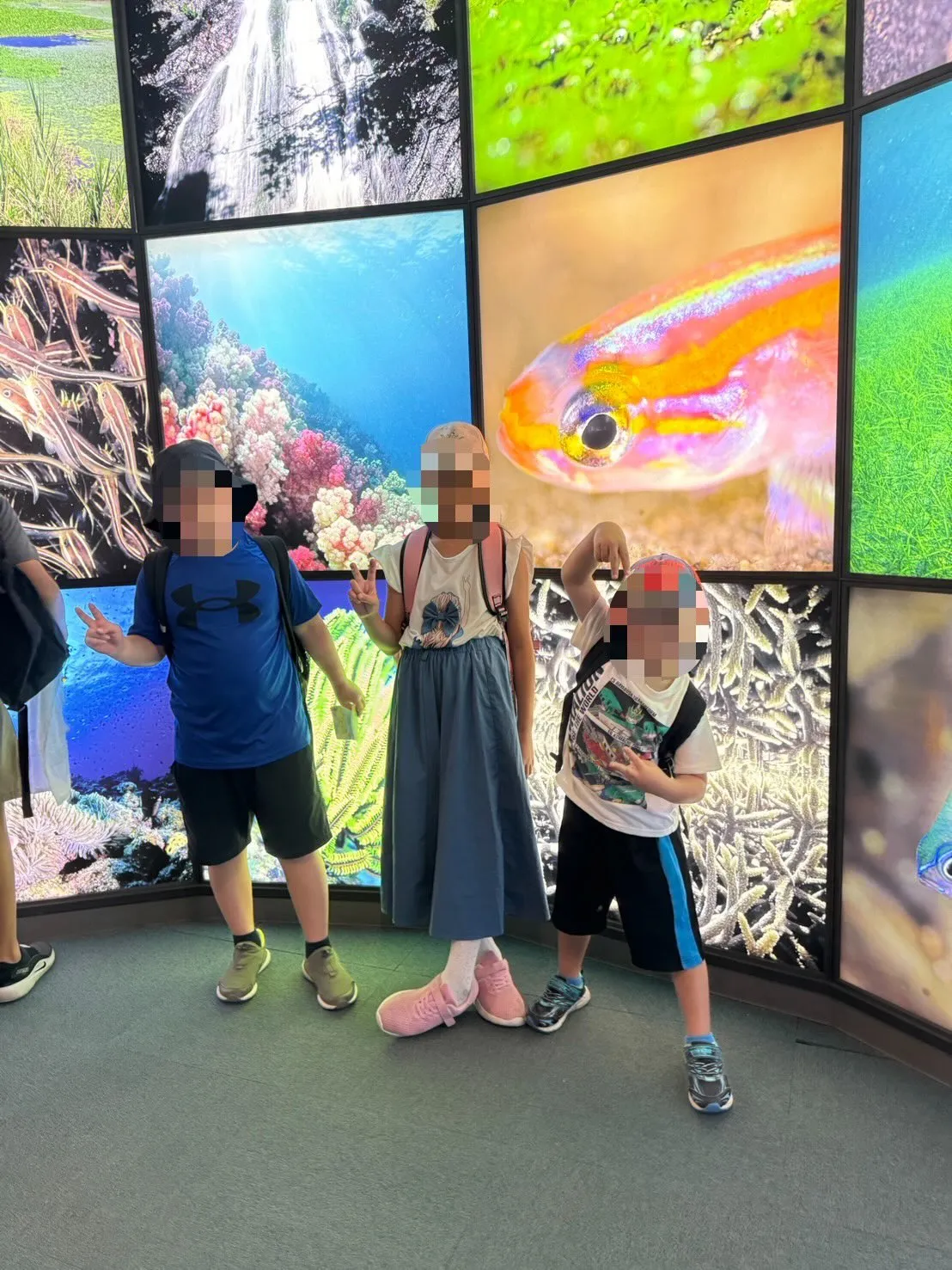 今日はイオワールドかごしま水族館に行ってきました🐬🎉