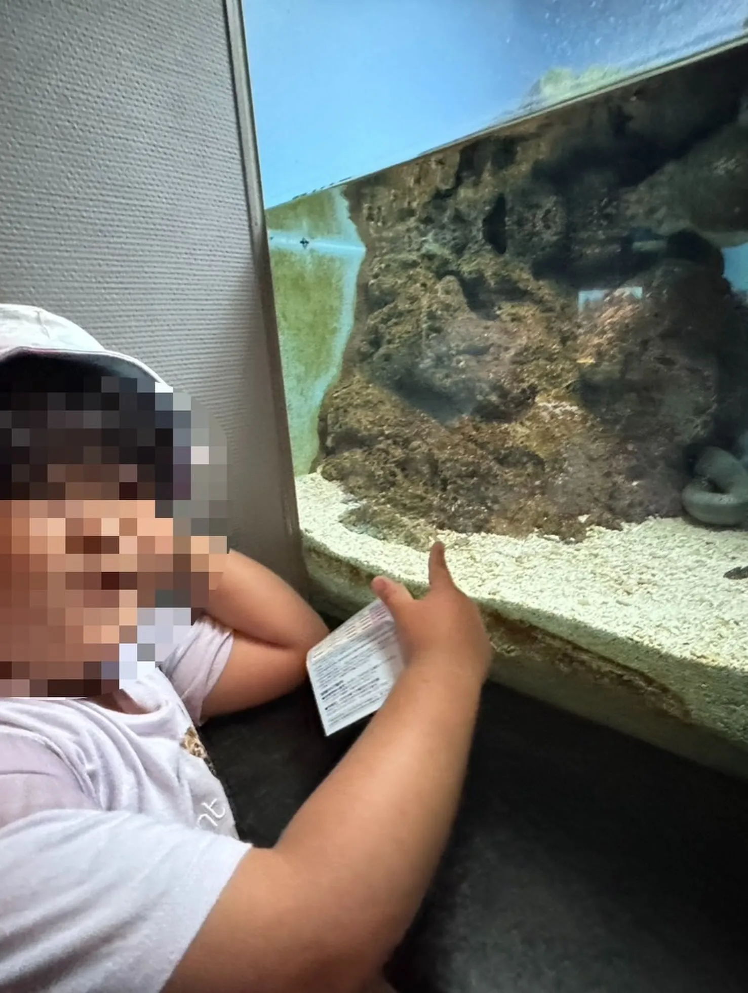 今日はイオワールドかごしま水族館に行ってきました🐬🎉