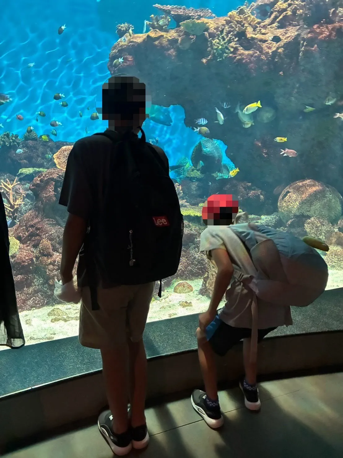 今日はイオワールドかごしま水族館に行ってきました🐬🎉