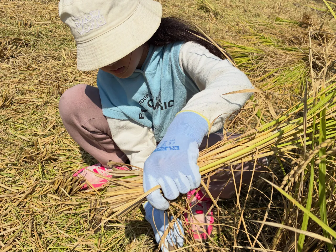 「体験から学ぶ、みんなの笑顔🌾」