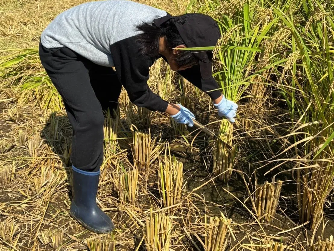 「体験から学ぶ、みんなの笑顔🌾」