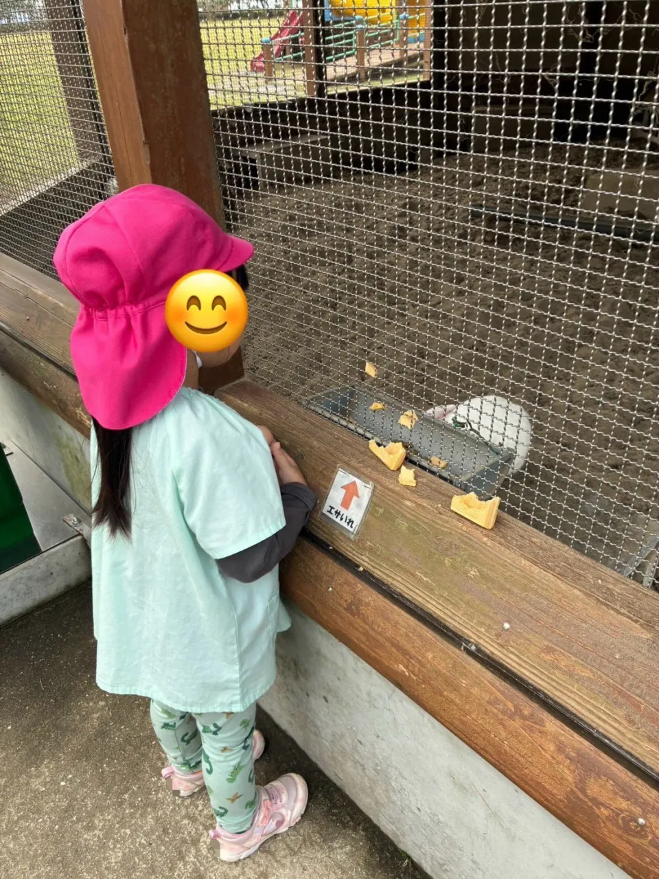 秋のおでかけ、冒険の始まり🍂